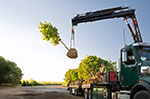 HIAB GRUE SUR CAMION iX.138 HiDUO