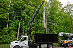HIAB GRUE SUR CAMION iX.188 HiDUO