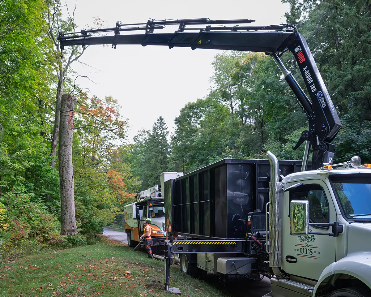 HIAB GRUE SUR CAMION iX.188 HiDUO